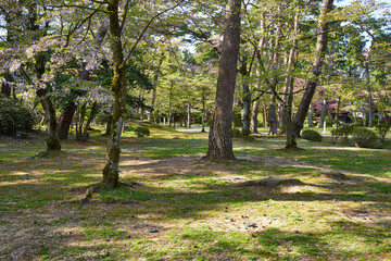 秋田県秋田市　春の千秋公園
