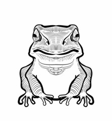 立ち澄ますカエル-正面図