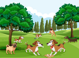 Many dogs running in the park