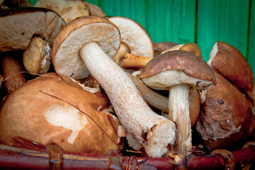 white mushroom russia in the basket