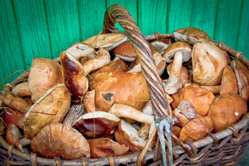 white mushroom russia in the basket