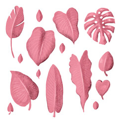 Set of hand-drawing pink tropical leaves isolated on white background