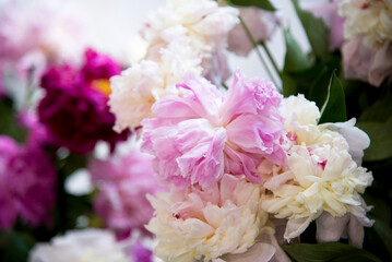 bouquet of pink and white
peonies