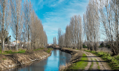 Canal del Duero a su paso por Valladolid con los árboles sin hojas durante el invierno