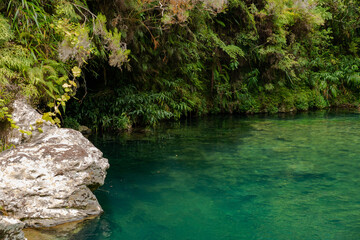 Bassin des Hirondelles- Forêt de Bébour - Ile de La Réunion © Erwann