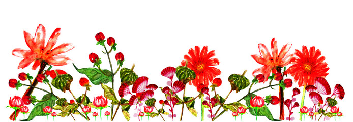 Banner con fiori rossi isolati su sfondo bianco