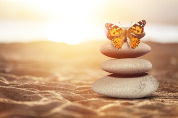 Spa stones on the beach and butterfly on sun background. Spa concept.