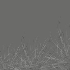 Grey gradient grass, handmade, for websites, invitations.3d.