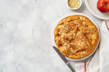 Traditional apple pie on a white plate on a light culinary background. Charlotte pie on a platter....