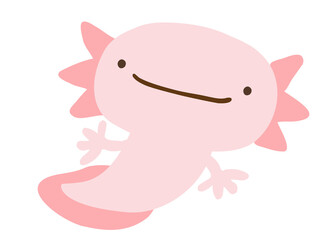 かわいいウーパールーパー／手描きイラスト素材