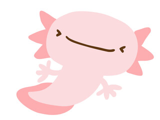 かわいいウーパールーパー／手描きイラスト素材