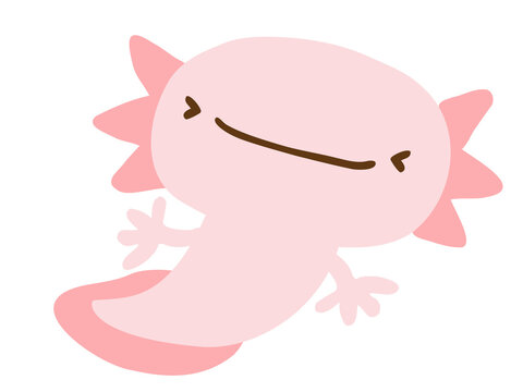 メキシコサンショウウオ Images Browse 213 Stock Photos Vectors And Video Adobe Stock