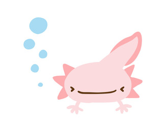 かわいいウーパールーパーとあぶく／手描きイラスト素材