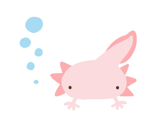 かわいいウーパールーパーとあぶく／手描きイラスト素材