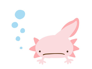 かわいいウーパールーパーとあぶく／手描きイラスト素材