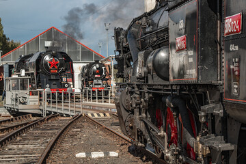 Fototapeta na wymiar meeting of Czechoslovak steam locomotives in the depot