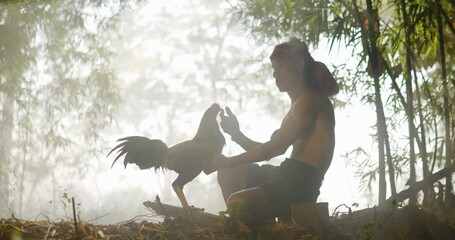slow motion Asian senior man, shirtless and turban with loincloth, sitting and touch the mouth of a gamecock. He teases the beautiful gamecock with love.