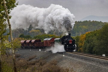 Fototapeta na wymiar historic steam freight train passes through the autumn landscape