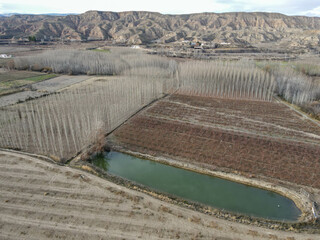 Drone view at woods and hills near Guadix on Spain