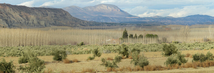 View at woods and hills near Guadix on Spain