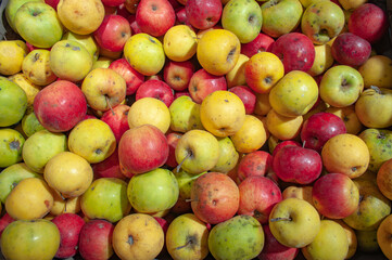 group of apples of different varieties