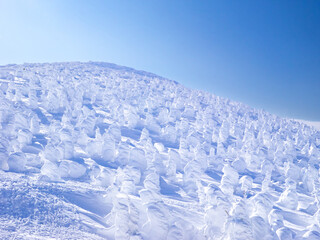 Fototapeta na wymiar Mountain covered with ice monsters (soft rime). (Zao-onsen ski resort, Yamagata, Japan)