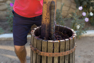 Winepress with red must and helical screw. Traditional old technique of wine making. Filtering...
