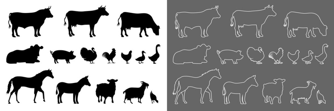 Collection de pictogrammes représentant les différents animaux de ferme, une série composée de silhouettes noires et une autre sans fond avec des contours blancs.