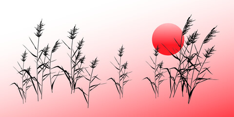 Thickets of reeds against the background of sunset (sunrise) of the sun. Silhouette abstract landscape vector drawing.  - obrazy, fototapety, plakaty