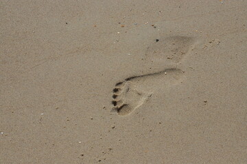 Footprints of a man on the yellow beach sand from walking barefoot by the sea with water that washes away the footprints.