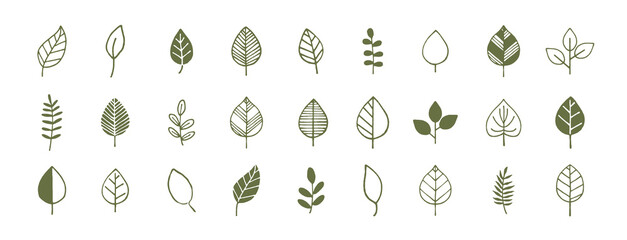 シンプルでかわいい葉っぱ　手描き装飾イラストセット　植物