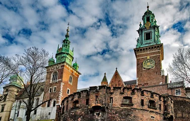 Photo sur Plexiglas Cracovie Wawel castle