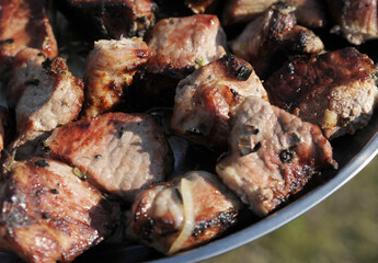 shish kebab on the barbecue