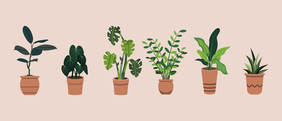 Group of Hand Drawn Flat Potted Houseplants illustration