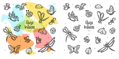 Bugs and Insects Set With Colorful Spots