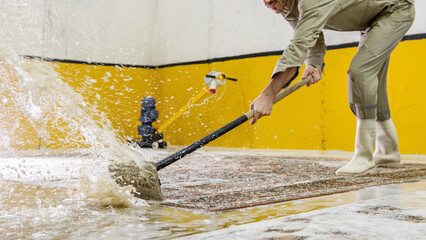 professional cleaning and washing of carpets