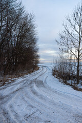 Fototapeta premium Snowy road in a field leading to pine forest. Winter road to nowhere in sunny day, snow-covered fresh car track. Car traces in a deep snow of remote rural area