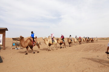 Tourists riding camels in Alxa desert, Inner Mongolia