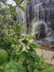 waterfall in the forest