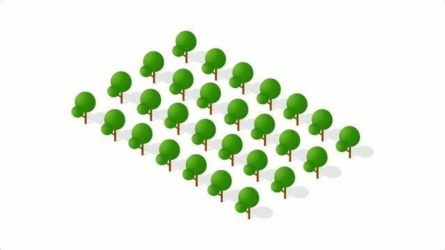 Isometric 3d trees forest camping nature elements white background for landscape design. Animation movement for city maps, games and your town
