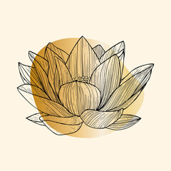 Flower lotus with colors stain. Lotus Line art. Vector illustration.