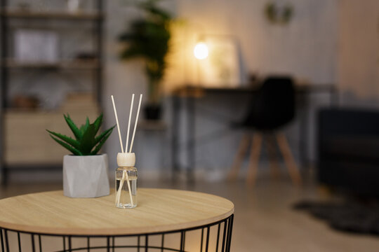 reed diffuser and house plant on the table in living room or home office