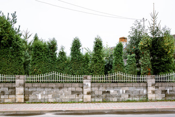 The fence of cinder block with grey sharp metal pickets. The neighbor border. Private property. Sidewalk on the street. Green garden with tall tree: thujas, firs. Efflorescence wall. Grunge style