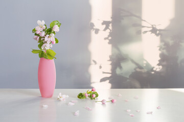branches of  apple tree with flowers in pink vase on white table