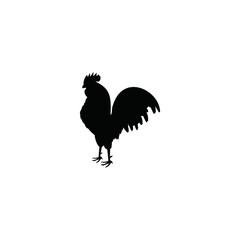 rooster isolated on white background
