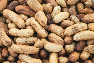 close up of peanuts