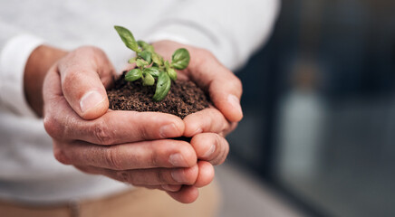Small efforts lead to big success. Cropped shot of a businessman holding a plant growing out of soil.
