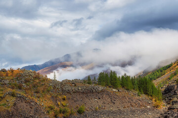 Colorful autumn landscape with mountain and coniferous trees with hoarfrost on hill with view to forest mountain in low clouds.