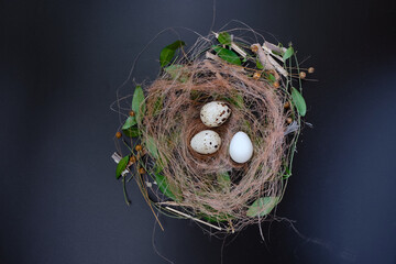 Easter quail eggs, periwinkle plant, and flax or hemp fiber on a black background. Ecological concept of birds nest. Copy space.