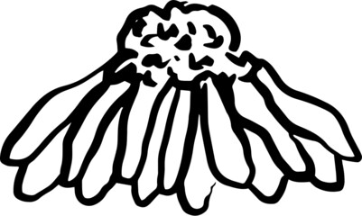 Floral and Botanical Texture Hand drawn illustration